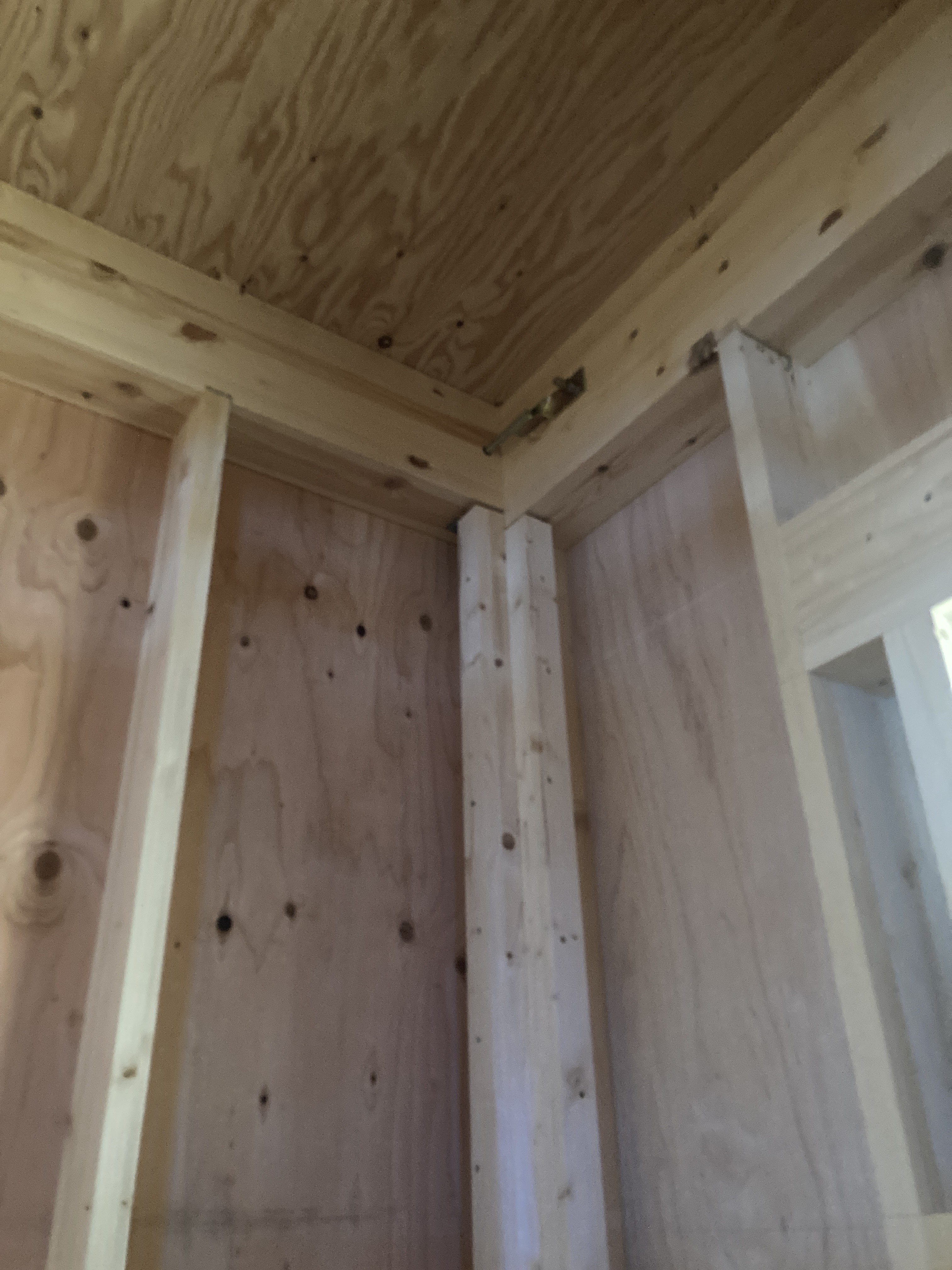 構造体画像(モーダル)